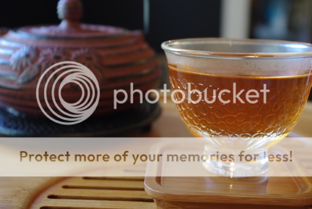 My Steeped IdentiTEA Adagio’s Rooibos Vanilla Chai Review